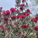 遵义旅游 缩略图 6