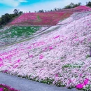 宁波旅游 缩略图 8