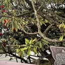 毕节旅游 缩略图 3