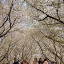 宁波旅游 缩略图 12