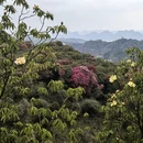 毕节旅游 缩略图 4