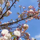 宁波旅游 缩略图 9