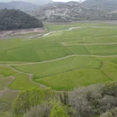 宁波旅游 缩略图 12