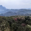 毕节旅游 缩略图 5