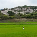 宁波旅游 缩略图 6