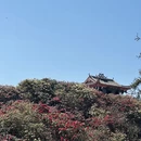 遵义旅游 缩略图 1