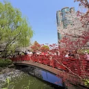 宁波旅游 缩略图 6
