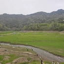 宁波旅游 缩略图 4