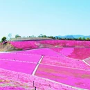 宁波旅游 缩略图 3
