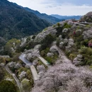 宁波旅游 缩略图 9