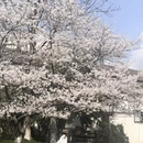 宁波旅游 缩略图 6