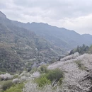 宁波旅游 缩略图 13