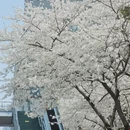 宁波旅游 缩略图 5