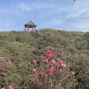 遵义旅游 缩略图 7