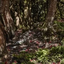 毕节旅游 缩略图 7