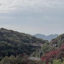 遵义旅游 缩略图 9