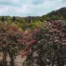 毕节旅游 缩略图 8