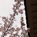 宁波旅游 缩略图 8
