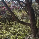 毕节旅游 缩略图 10