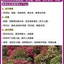 遵义旅游 缩略图 5
