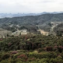 毕节旅游 缩略图 7