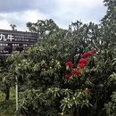 毕节旅游 缩略图 8