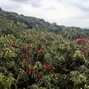 毕节旅游 缩略图 9