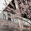 宁波旅游 缩略图 1