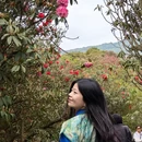 遵义旅游 缩略图 2