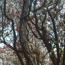 毕节旅游 缩略图 2