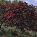 毕节旅游 缩略图 3