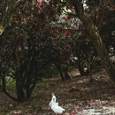 毕节旅游 缩略图 5