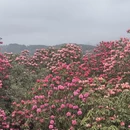遵义旅游 缩略图 4