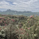 遵义旅游 缩略图 13