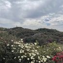 遵义旅游 缩略图 14
