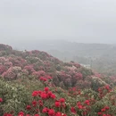 遵义旅游 缩略图 13