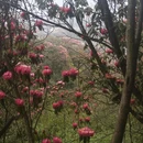 毕节旅游 缩略图 1