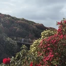 毕节旅游 缩略图 3