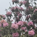 遵义旅游 缩略图 15