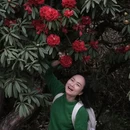 毕节旅游 缩略图 3
