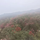 毕节旅游 缩略图 2