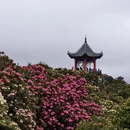 毕节旅游 缩略图 5