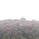 毕节旅游 缩略图 3