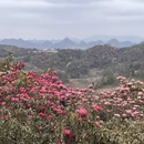 毕节旅游 缩略图 4