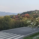 毕节旅游 缩略图 4