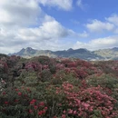 毕节旅游 缩略图 6