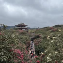 毕节旅游 缩略图 6