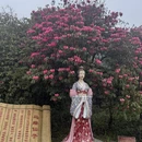 遵义旅游 缩略图 17