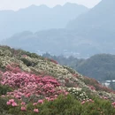 毕节旅游 缩略图 6