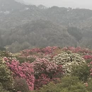 遵义旅游 缩略图 5